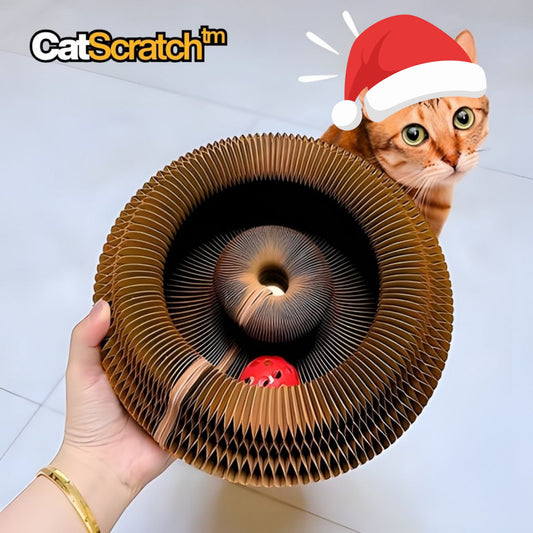 CatScratch™