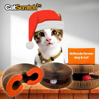 CatScratch™